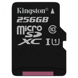Карта памяти Kingston 256GB microSDXC Class 10 UHS-I (SDC10G2/256GBSP) ― 