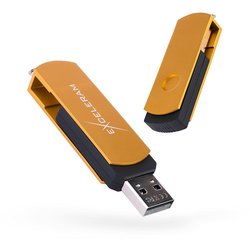 USB флеш накопитель eXceleram 32GB P2 Series Gold/Black USB 2.0 (EXP2U2GOB32) ― 