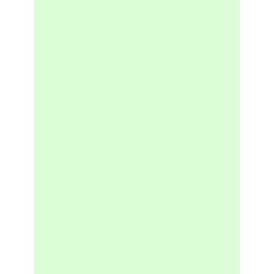 Бумага А4 IQ color, pale, 500sheets, green Mondi (A4.80.IQP.GN27.500)