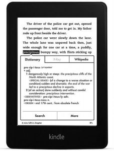 Электронная книга с подсветкой Amazon Kindle Paperwhite 2Gb, Wi-Fi +3G, NEW