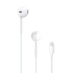 Наушники Apple iPod EarPods with Mic Lightning (MMTN2ZM/A) ― 