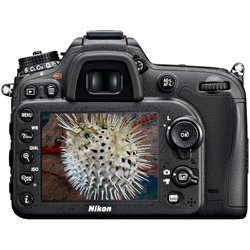 Цифровой фотоаппарат Nikon D7100 18-140VR Kit (VBA360KV02) ― 
