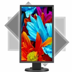 Монитор NEC E224Wi black