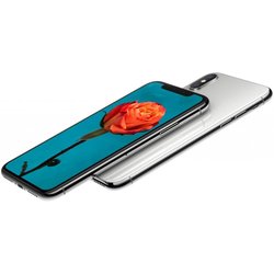 Мобильный телефон Apple iPhone X 256Gb Silver (MQAG2FS/A)